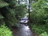 2011- 130.jpg